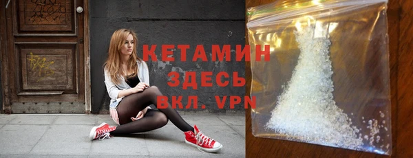 гидра Арсеньев