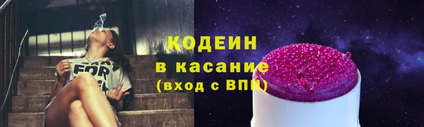 гидра Арсеньев