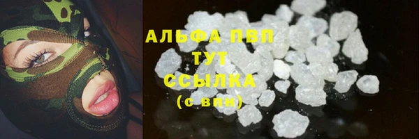 гидра Арсеньев