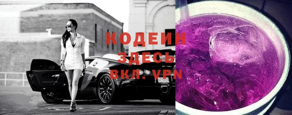 гидра Арсеньев