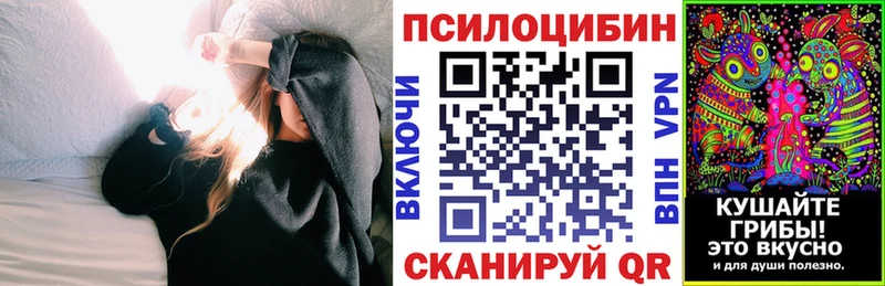 наркотики  hydra ONION  Галлюциногенные грибы мицелий  Сковородино 